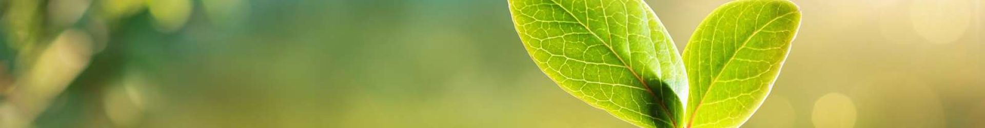 Imagem Breadcrumb páginas